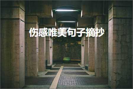 鍞編娣￠泤璧炵編鍥藉缁忓吀鐨勫彞瀛愶紙鏂囨663鏉★級