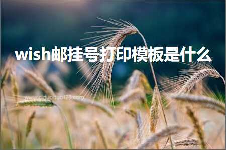 璺ㄥ鐢靛晢鐭ヨ瘑:wish閭寕鍙锋墦鍗版ā鏉挎槸浠€涔? width=