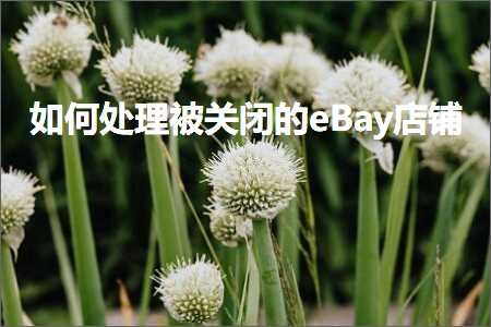 跨境电商知识:如何处理被关闭的eBay店铺