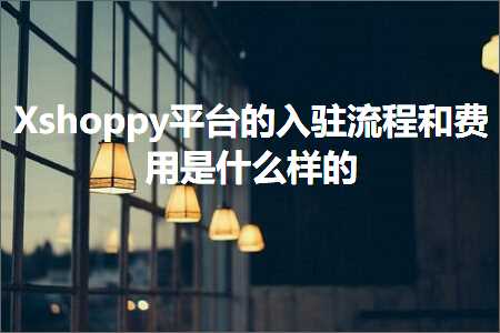 跨境电商知识:Xshoppy平台的入驻流程和费用是什么样的